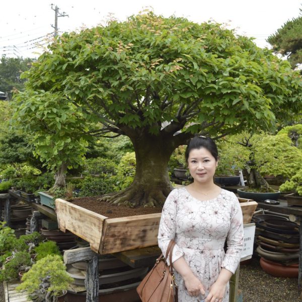 Nanxi Chen posing with a Bonsai in Omiya Japan