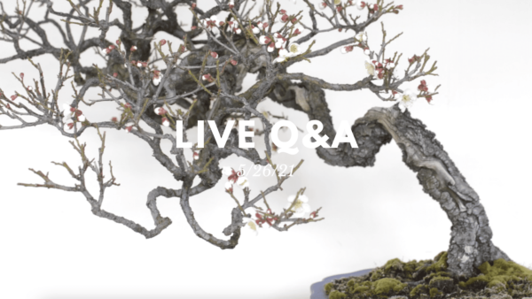 Bonsai-U Live Q&A session held on 5/26/21