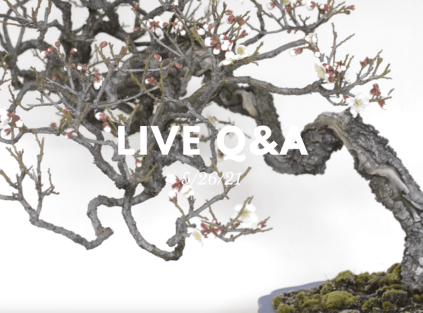 Bonsai-U Live Q&A session held on 5/26/21