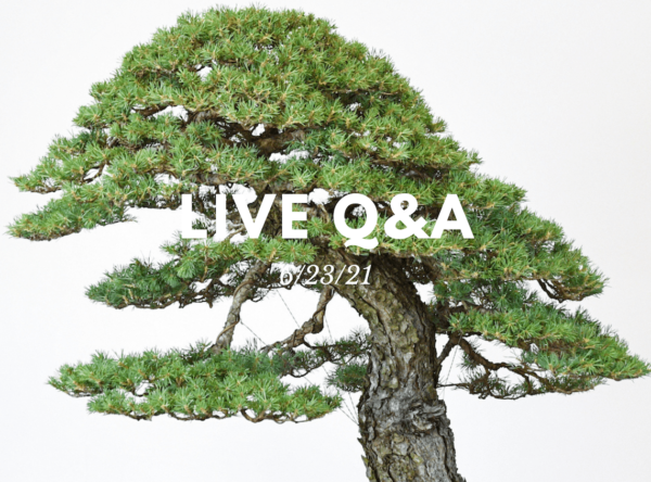 Bonsai-U Live Q&A session held on 6/23/21