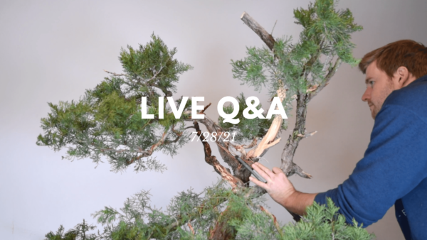 Bonsai-U Live Q&A 7/28/21