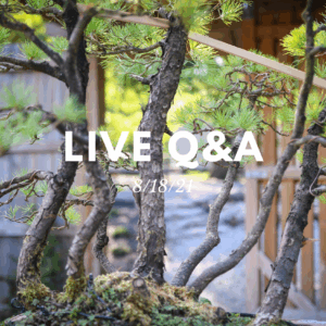 Bonsai-U Live Q&A August 18, 2021