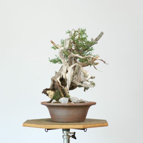 DSCF1733