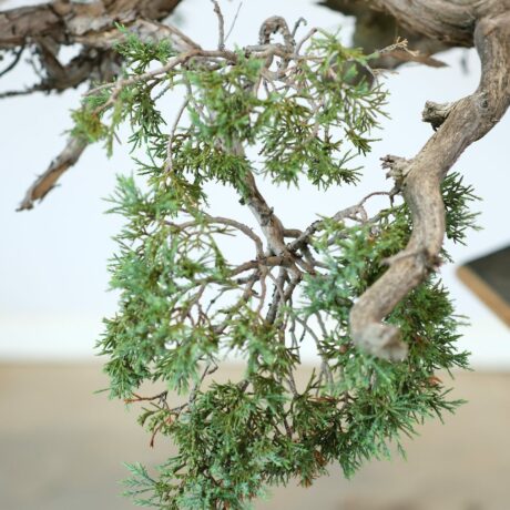 DSCF2047