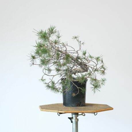 DSCF2076