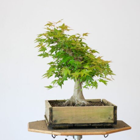 DSCF2209