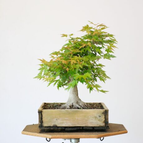 DSCF2211