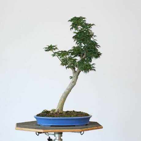 DSCF2219