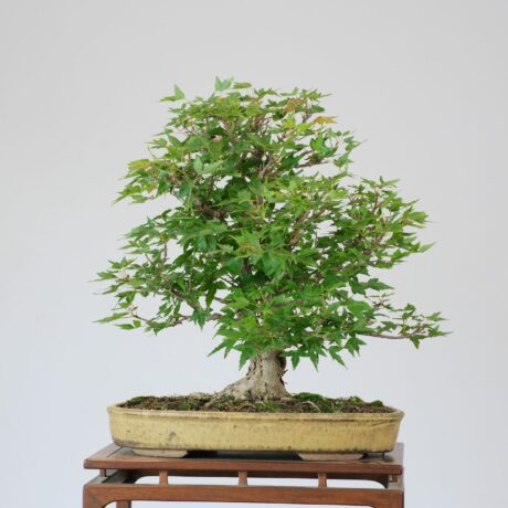 DSCF2249