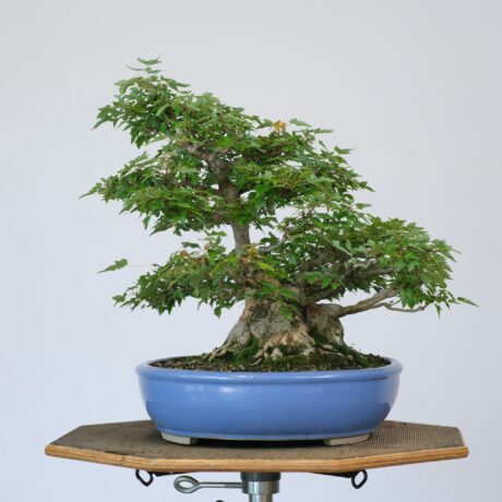 DSCF2502