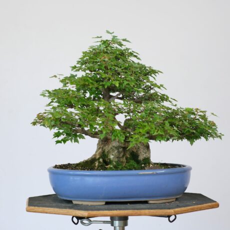 DSCF2503