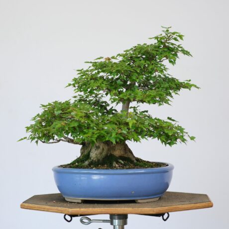 DSCF2504