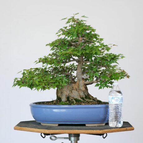DSCF2505